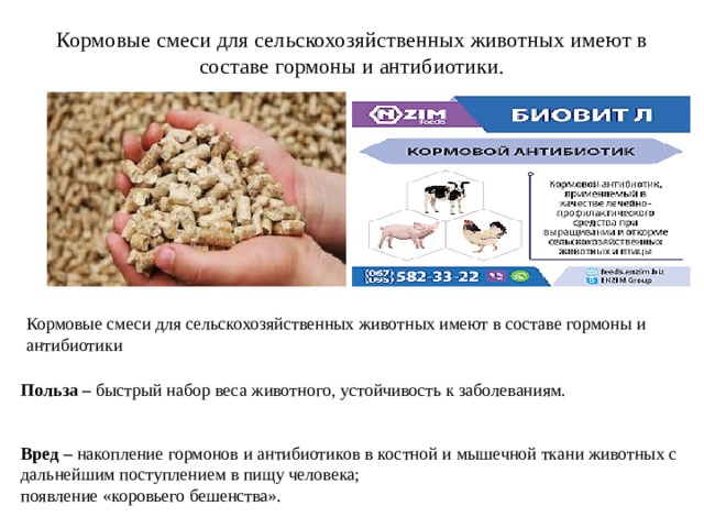 Кормовые смеси для сельскохозяйственных животных имеют в составе гормоны и антибиотики. Кормовые смеси для сельскохозяйственных животных имеют в составе гормоны и антибиотики Польза – быстрый набор веса животного, устойчивость к заболеваниям. Вред – накопление гормонов и антибиотиков в костной и мышечной ткани животных с дальнейшим поступлением в пищу человека; появление «коровьего бешенства».