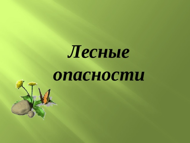 Лесные опасности  