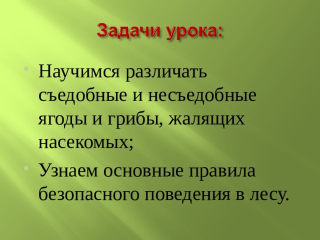 Окр мир 2 кл проект подробнее о лесных опасностях