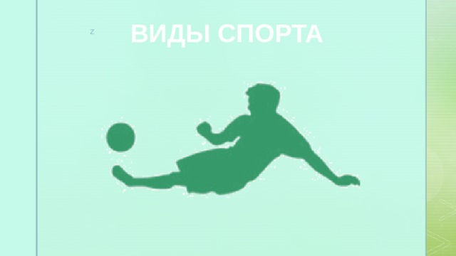 ВИДЫ СПОРТА 