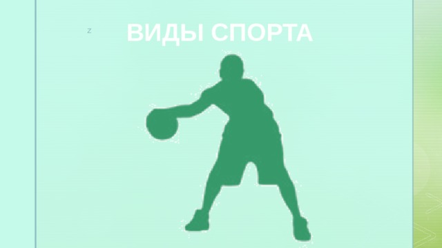 ВИДЫ СПОРТА 