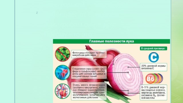 З   А   Г   А   Д   К   И Очень горький — но полезный!  Защищает от болезней!  И микробам он не друг –  Потому что это — 