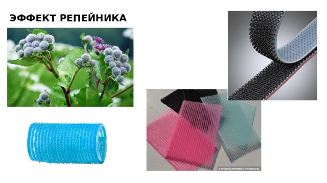 ЭФФЕКТ РЕПЕЙНИКА 