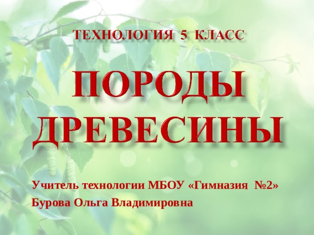 Учитель технологии МБОУ «Гимназия №2» Бурова Ольга Владимировна 