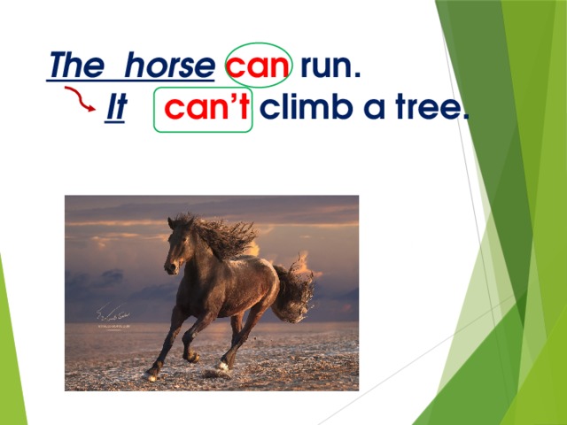 The horse  can run.   It  can’t climb a tree.   