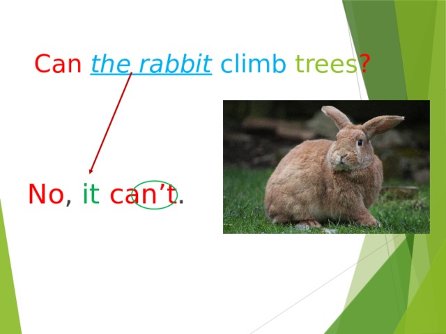 Can  the rabbit climb trees ? No , it  can’t . 