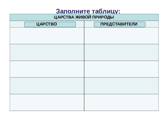 Заполните таблицу: ЦАРСТВА ЖИВОЙ ПРИРОДЫ ЦАРСТВО ПРЕДСТАВИТЕЛИ 