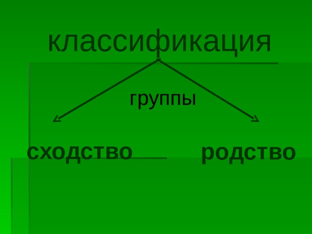 классификация группы сходство родство 