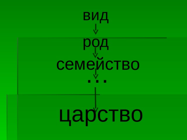 Царство род семейство