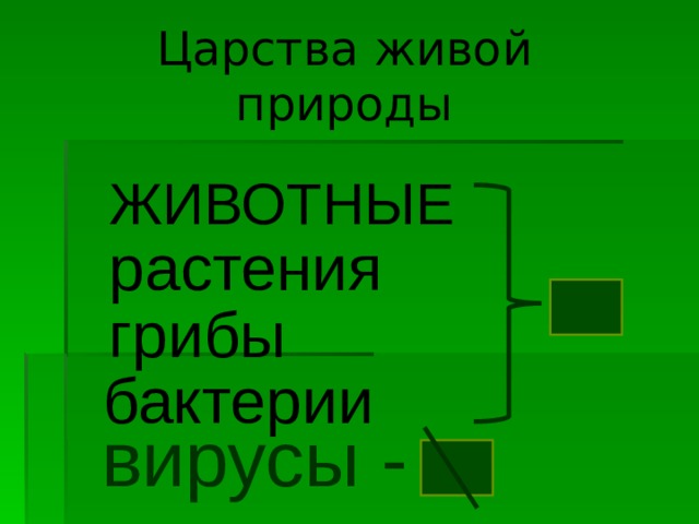 Царства живой природы ЖИВОТНЫЕ растения грибы бактерии вирусы - 