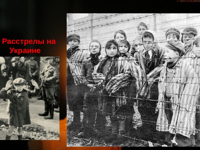 Расстрелы на Украине 