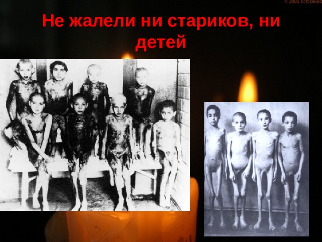 Не жалели ни стариков, ни детей 