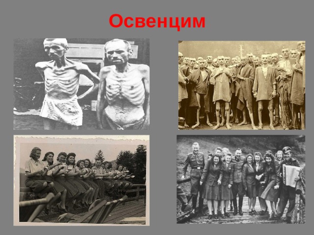 Освенцим 