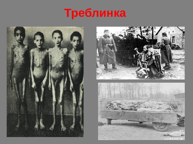 Треблинка 