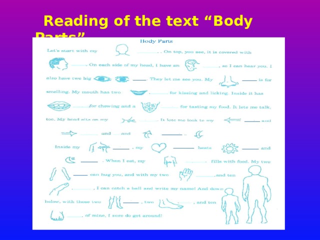  Reading of the text “Body Parts”  