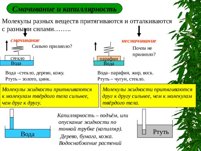 Смачивание и несмачивание физика 10 класс презентация