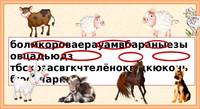 болмкороваерауамвбараныезыовцадьюдз тбскозасвгкчтелёноквщкюконьбюовчаркаь В этих «цепочках» спрятались названия домашних животных. Найди и обведи их. На что обратили внимание? (Овчарка — общее название ряда пород пастушьих собак, помощников пастухов овец (овчаров) и другого скота, иногда используемых в качестве служебных собак.) С давних времен домашний скот обеспечивал народ мясом, кожей, служил для перевозки грузов. Они были очень важны для людей. Поэтому собак использовали для охраны скота, ведь всегда существовала возможность нападения диких животных. Питомцев тренировали для того, чтобы они могли пасти скот и в случае атаки защитить его.