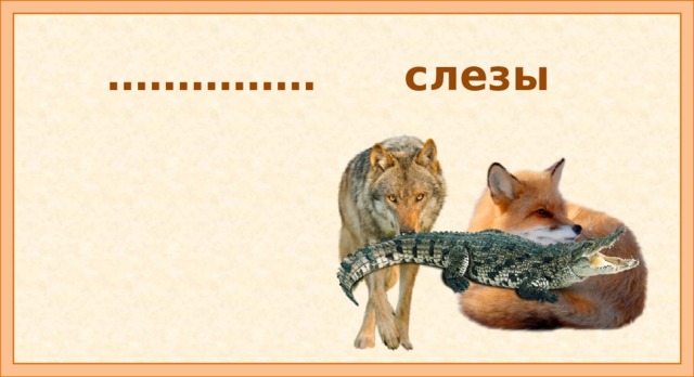 …………… слезы Крокодиловы слезы Оно обозначает притворное, фальшивое сострадание, проявление лицемерного, ненастоящего сопереживания. Происхождение этого выражения объясняется тем, что крокодилов часто видят 