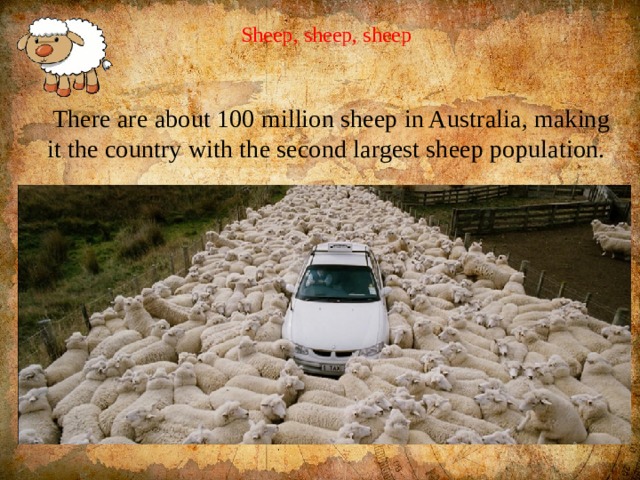  Sheep, sheep, sheep  There are about 100 million sheep in Australia, making it the country with the second largest sheep population. 