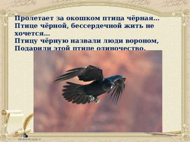 Пролетает за окошком птица чёрная…  Птице чёрной, бессердечной жить не хочется…  Птицу чёрную назвали люди вороном,  Подарили этой птице одиночество.   