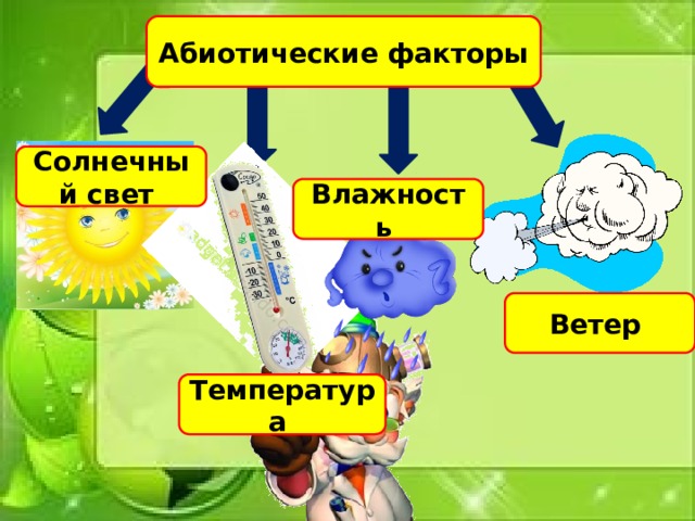 Абиотические факторы Солнечный свет Влажность Ветер Температура 