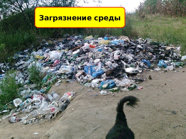 Загрязнение среды 