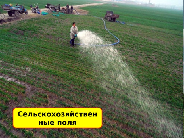 Сельскохозяйственные поля 