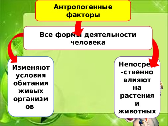 Антропогенные факторы Все формы деятельности человека Изменяют условия обитания живых организмов Непосред-ственно влияют на растения и животных 
