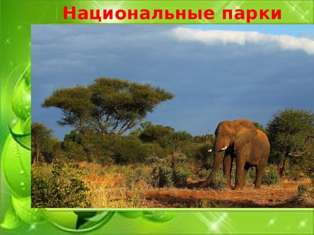 Национальные парки 
