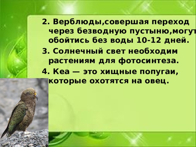 2. Верблюды,совершая переход через безводную пустыню,могут обойтись без воды 10-12 дней.  3. Солнечный свет необходим растениям для фотосинтеза. 4. Кеа — это хищные попугаи, которые охотятся на овец.    