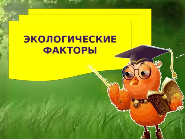  Экологические факторы   