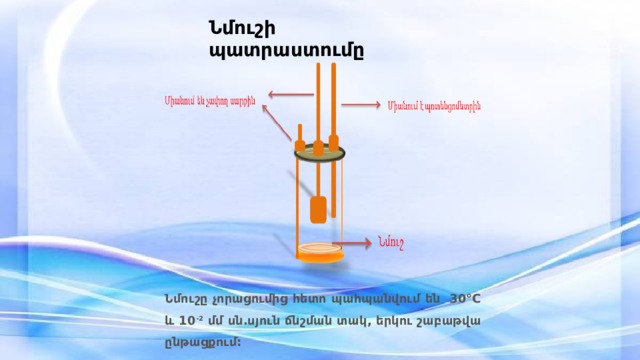Նմուշի պատրաստումը Նմուշը չորացումից հետո պահպանվում են 30°C և 10 -2 մմ սն.սյուն ճնշման տակ, երկու շաբաթվա ընթացքում: 