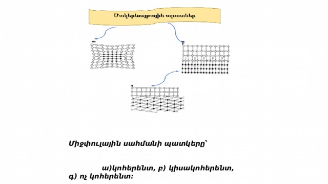 Միջփուլային սահմանի պատկերը՝  ա)կոհերենտ, բ) կիսակոհերենտ, գ) ոչ կոհերենտ: 
