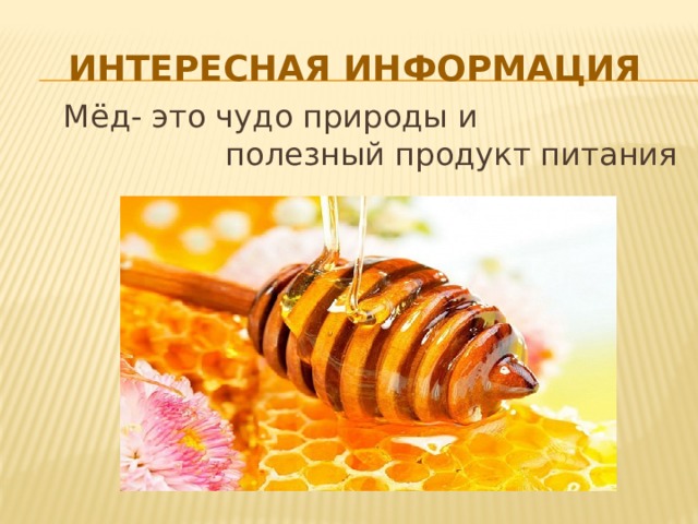 Интересная информация  Мёд- это чудо природы и полезный продукт питания 