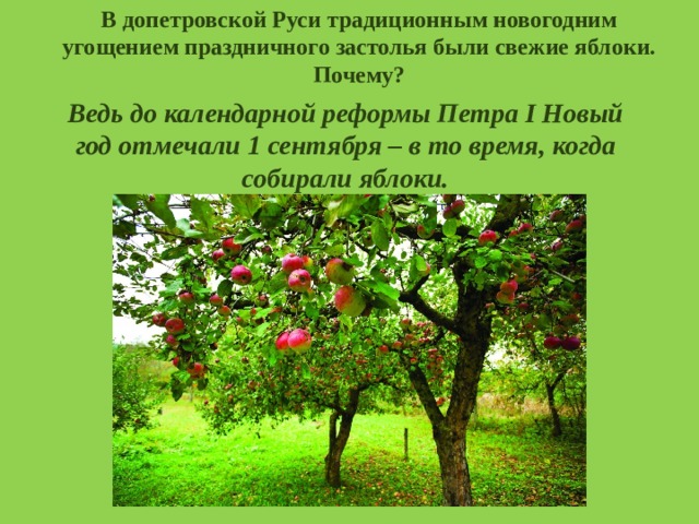 В допетровской Руси традиционным новогодним угощением праздничного застолья были свежие яблоки. Почему? Ведь до календарной реформы Петра I Новый год отмечали 1 сентября – в то время, когда собирали яблоки. 