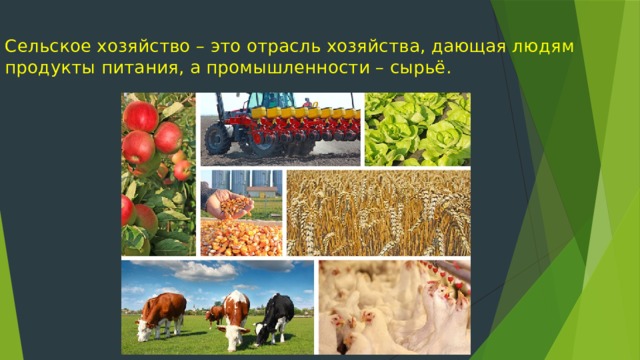 Развитие сельского хозяйства картинки для презентации