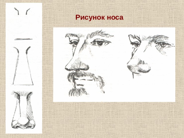 Рисунок носа 