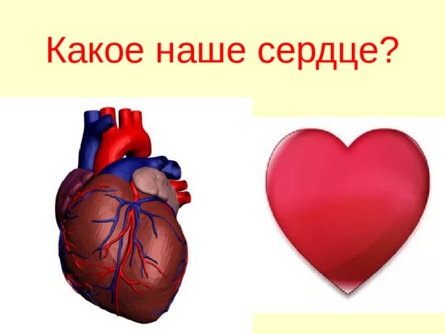 Какое наше сердце? 