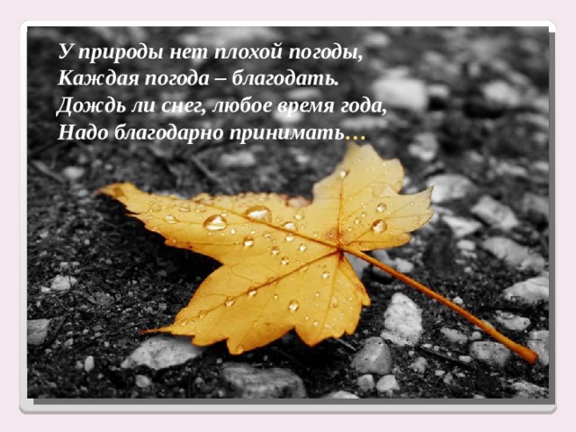  У природы нет плохой погоды,  Каждая погода – благодать.  Дождь ли снег, любое время года,  Надо благодарно принимать …  