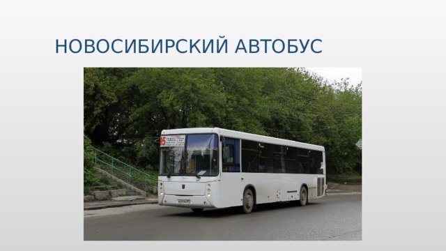 НОВОСИБИРСКИЙ АВТОБУС 