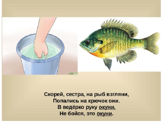 Окуни руку. Окуни руку в ведро. Скорей сестра на рыб взгляни попались. В ведерко руку окуни. В ведерко руку окуни не бойся это окуни.