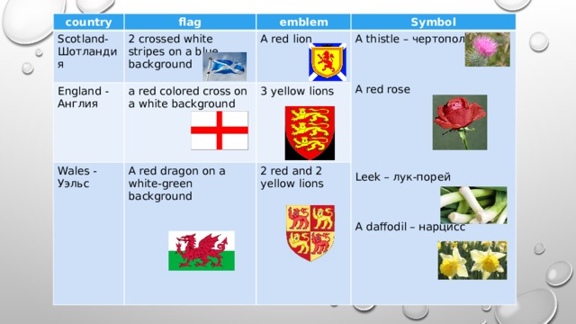 country flag Scotland- Шотландия England - Англия 2 crossed white stripes on a blue background emblem a red colored cross on a white background Wales - Уэльс A red lion Symbol A thistle – чертополох A red dragon on a white-green background 3 yellow lions 2 red and 2 yellow lions A red rose Leek – лук-порей A daffodil – нарцисс 