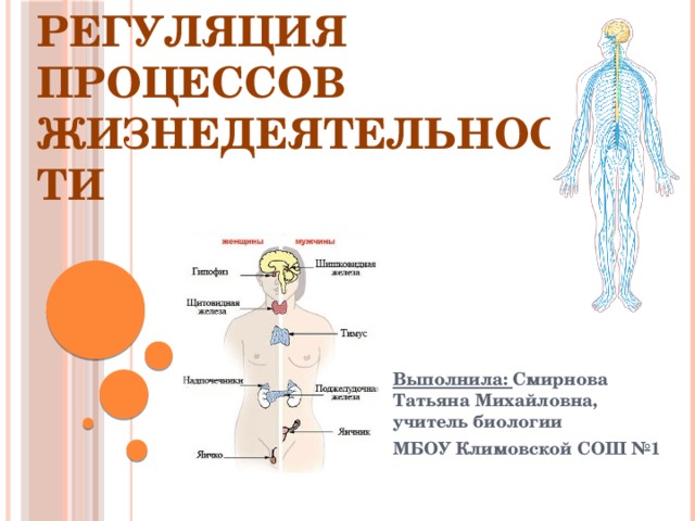 Регуляция процессов жизнедеятельности Выполнила: Смирнова Татьяна Михайловна, учитель биологии МБОУ Климовской СОШ №1  