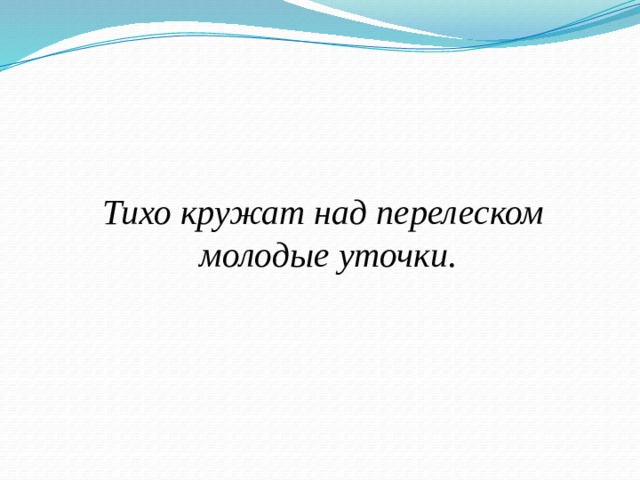 Тихо кружат над перелеском молодые уточки. 