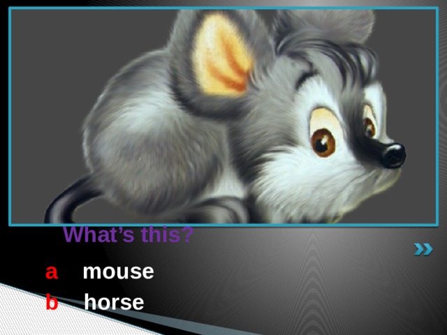  What’s this? a  mouse b  horse 
