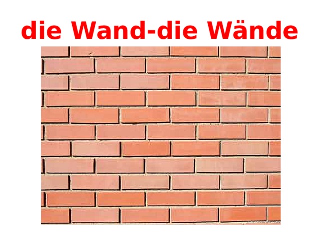 die Wand-die Wände 