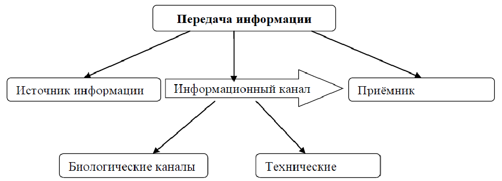 Заполните пропуски в упрощенной схеме процесса передачи информации ответы