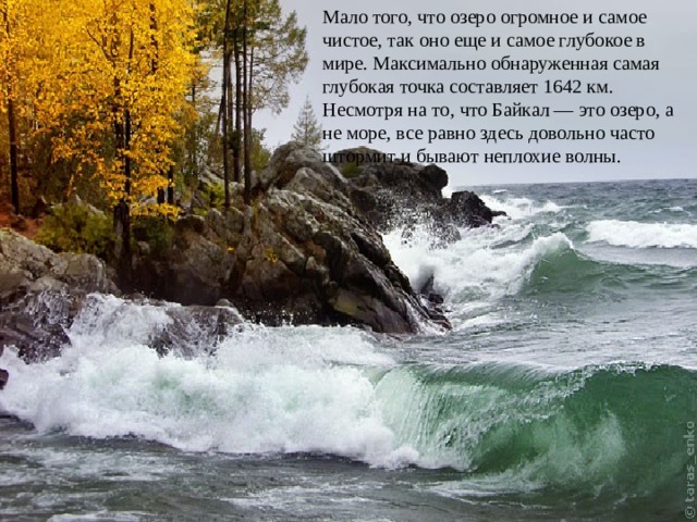 Мало того, что озеро огромное и самое чистое, так оно еще и самое глубокое в мире. Максимально обнаруженная самая глубокая точка составляет 1642 км. Несмотря на то, что Байкал — это озеро, а не море, все равно здесь довольно часто штормит и бывают неплохие волны. 