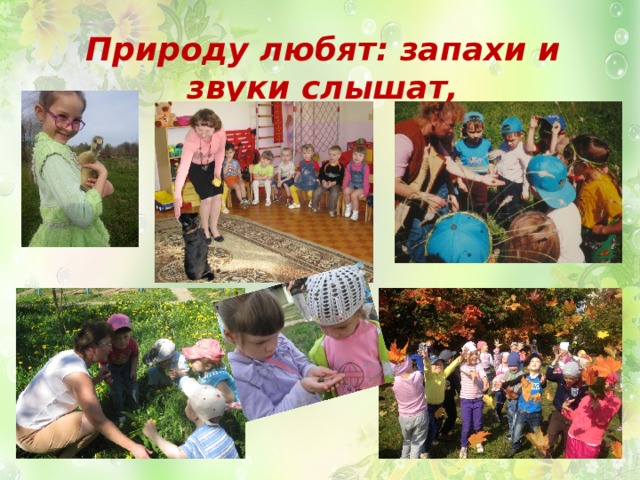 Природу любят: запахи и звуки слышат, 