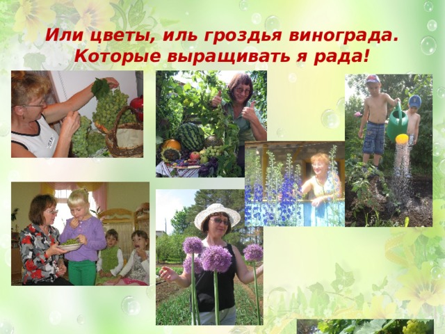Или цветы, иль гроздья винограда.  Которые выращивать я рада! 